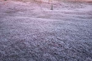 geadaagosto24 (1)