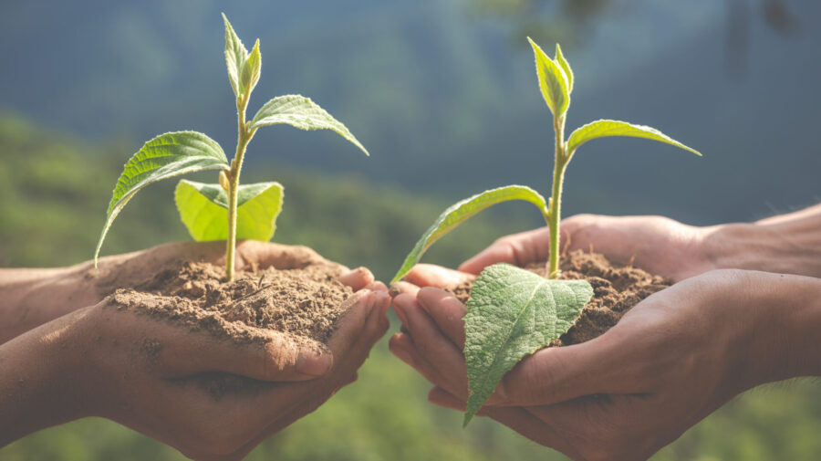 Concept of environmental conservation in the garden for children.
