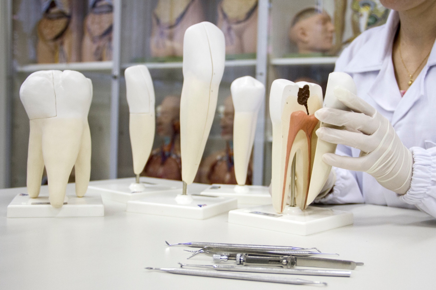 1) Ilustrativa para Odontologia – Crédito – Tuane Eggers