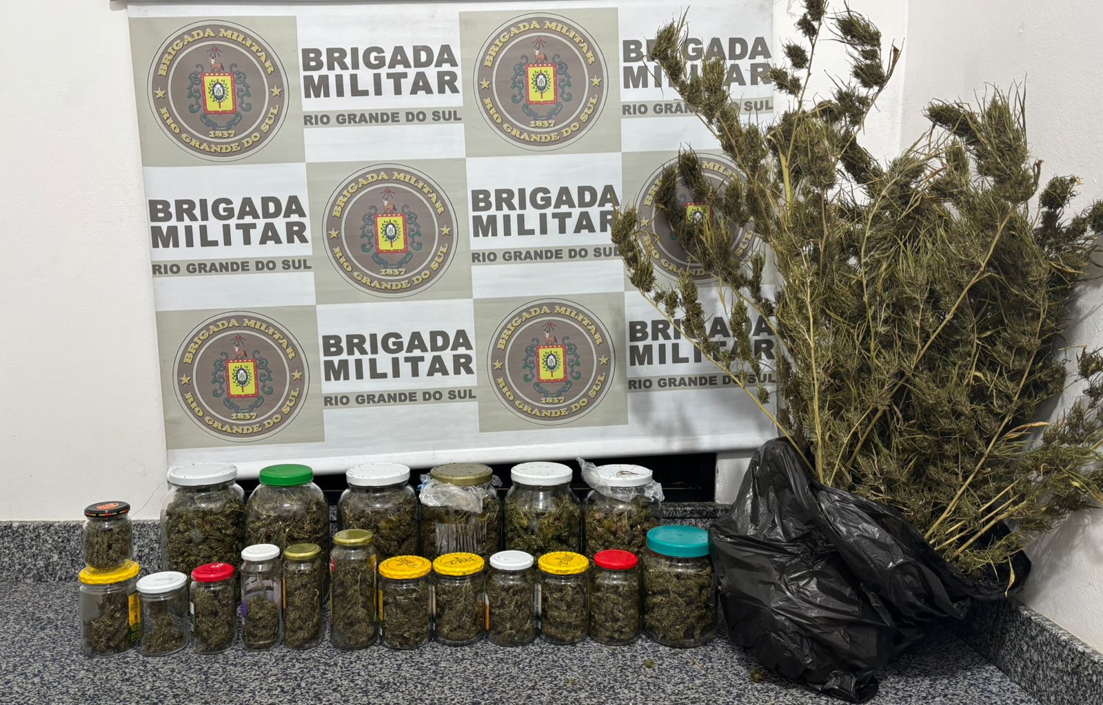 maconha agora novale