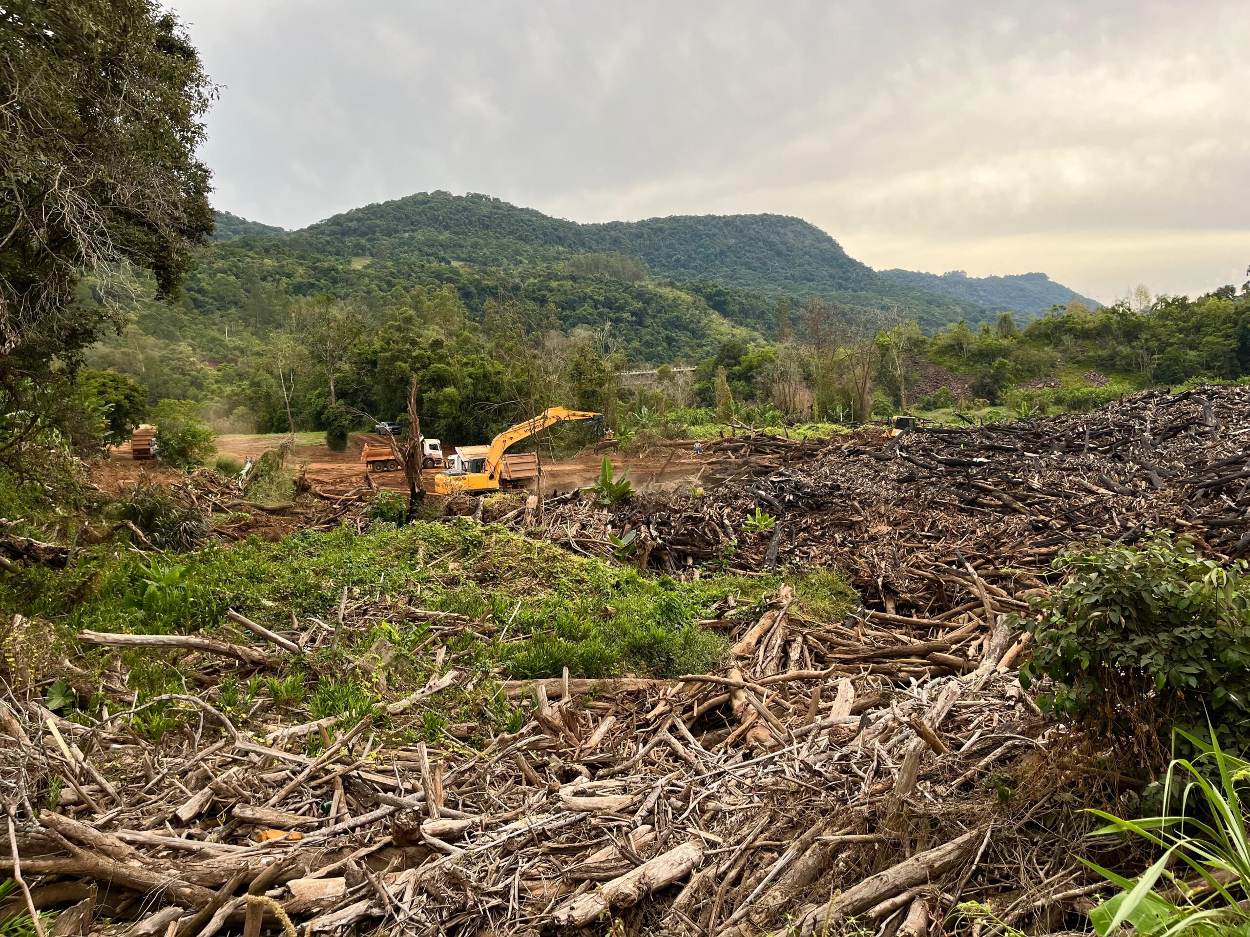 Muiçum dessassoreamento – Arroio Brava (2)