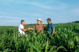 Sicredi fortalece parceria com o produtor rural no Plano Safra 25-26