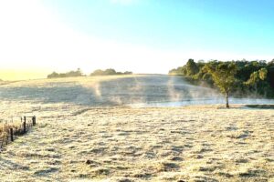 frio-geada-valedotaquari-agoranovale (3)