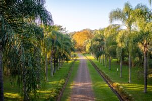 Jardim Botânico de Lajeado – fotos Laura Mallmann – prefeitura de Lajeado (2)