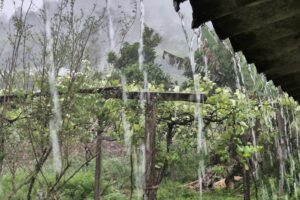 Chuva agora no vale lajeado