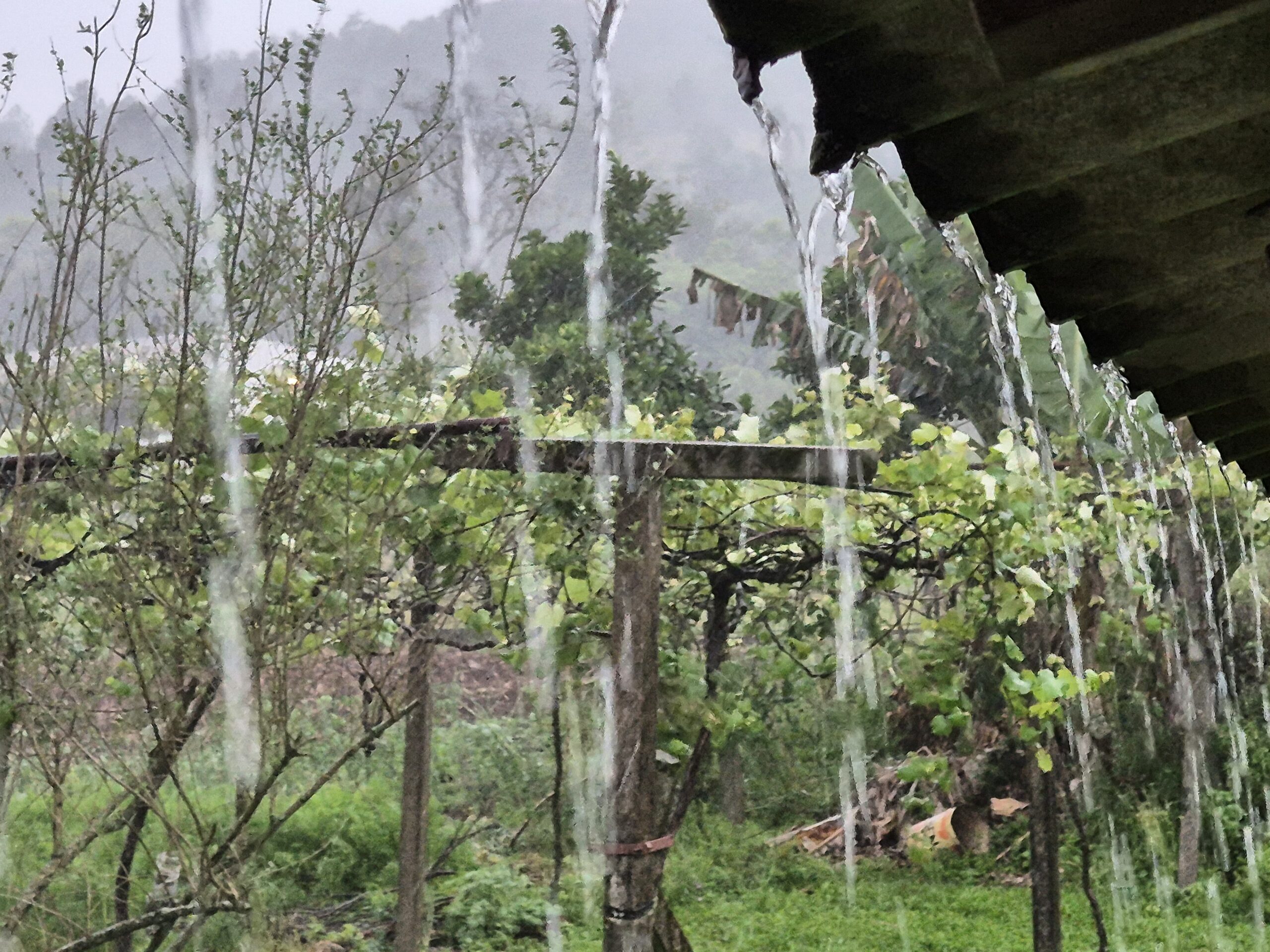 Chuva agora no vale lajeado