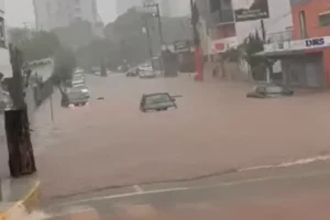 foto fw chuva