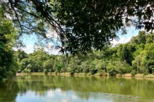 parque-do-engenho