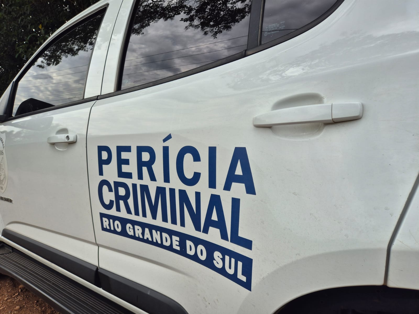 pericia (1)