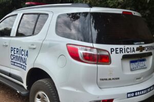 pericia (2)