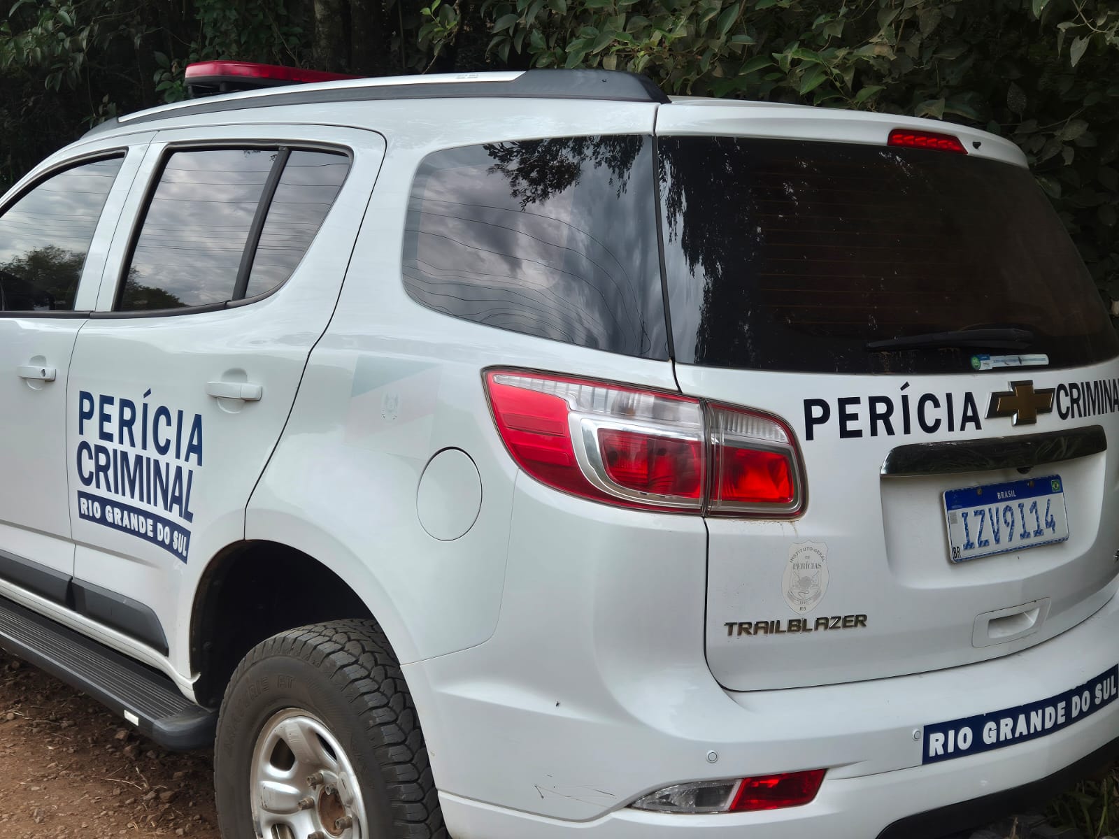 pericia (2)