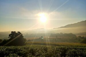 temposeco-sol-calor-tempo-agoranovale (3)
