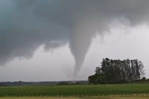 tornado RS