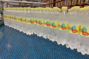 Água da Pedra abacaxi com hortelã 500ml – Divulgação Fruki