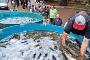 Feira do Peixe Vivo Teutônia