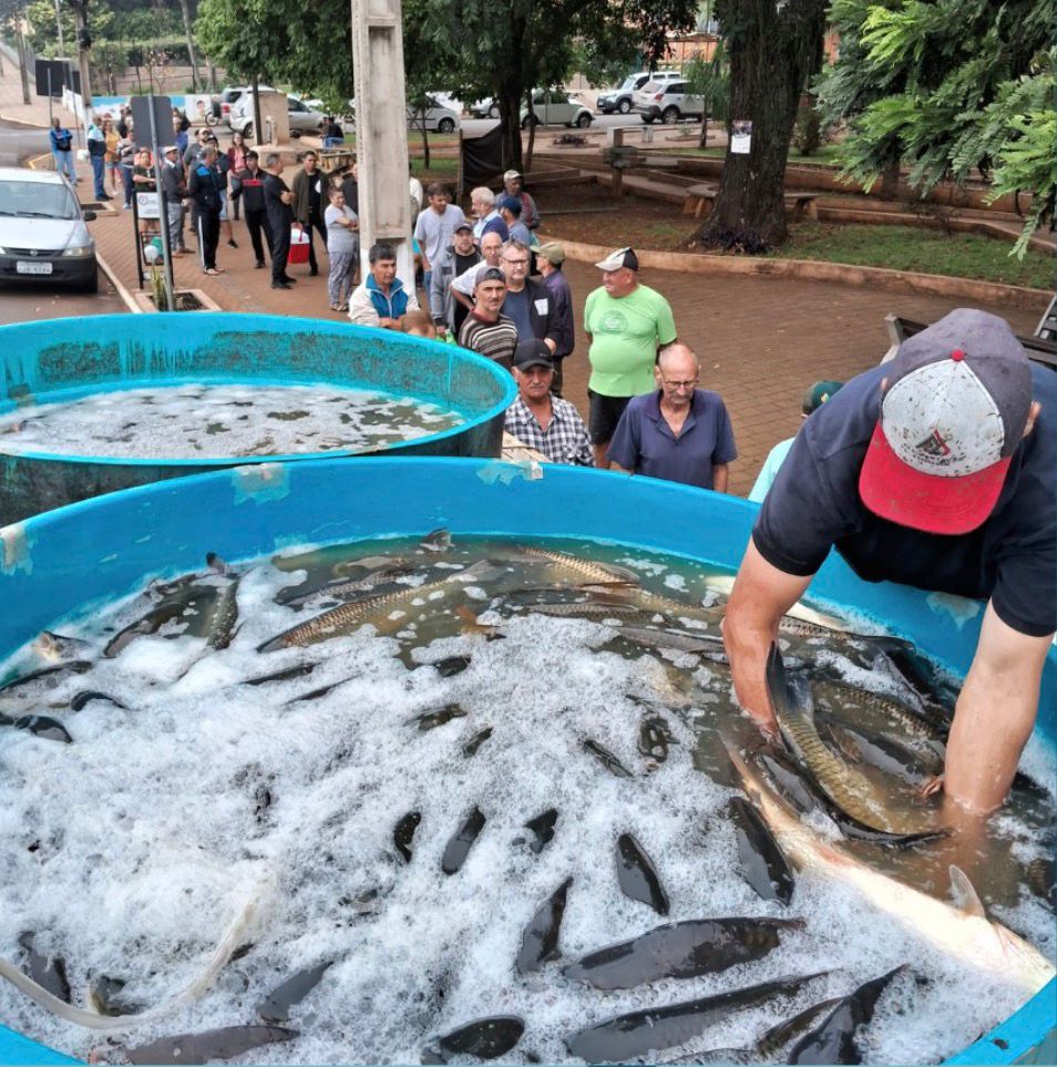 Feira do Peixe Vivo Teutônia