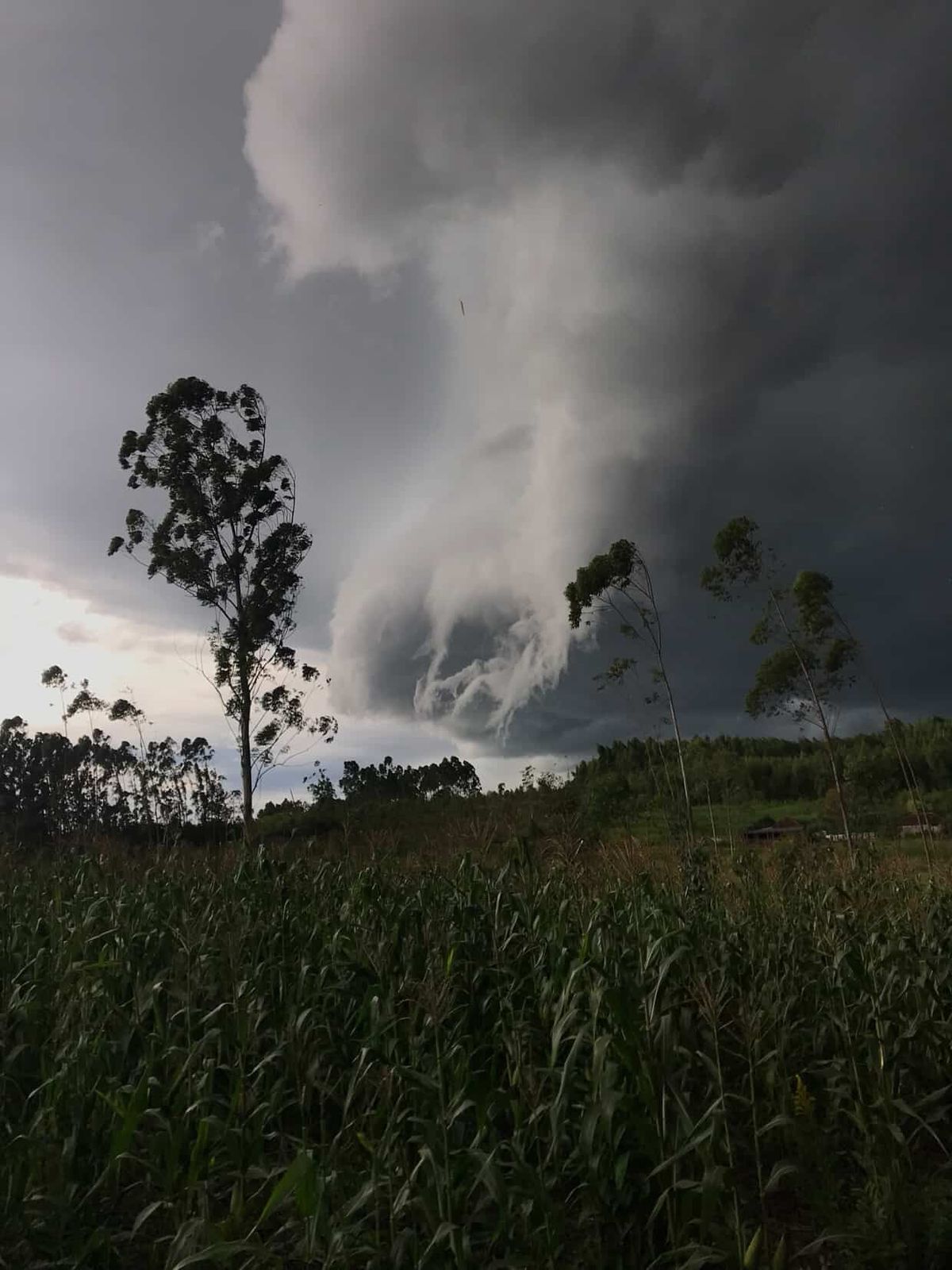 Temporal – Vale do Taquari