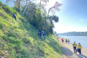 Viva o Taquari-Antas Vivo – recolhimento arquivo