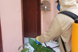 dengue combate mosquito