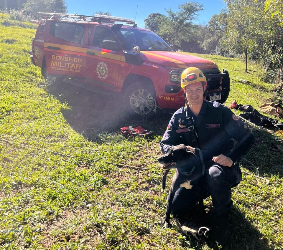 cao salvo bombeiros lajeado