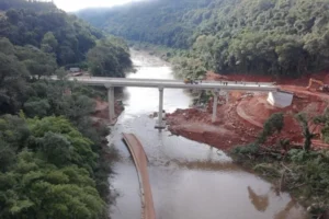 P9ntr guapore arvorezinha0