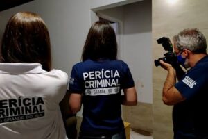 Perícia