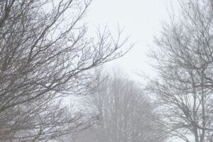 1) Imagem ilustrativa para o inverno – Crédito – Lucas George Wendt – Unsplash
