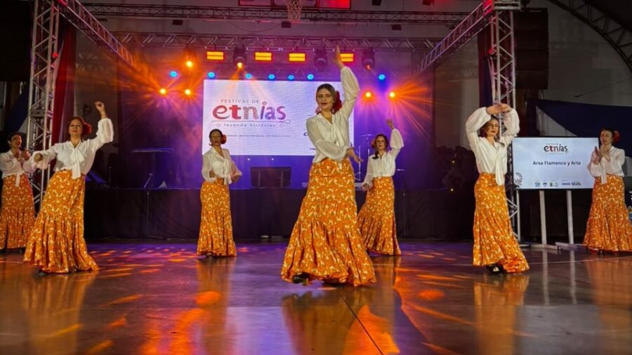 Festival de Etnias (4)
