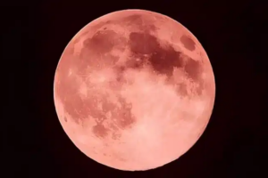 Lua Morango