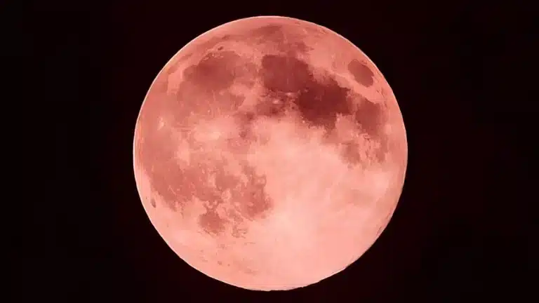 Lua Morango