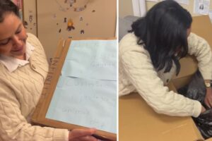 Cachorro morto vereadora policia suspeita