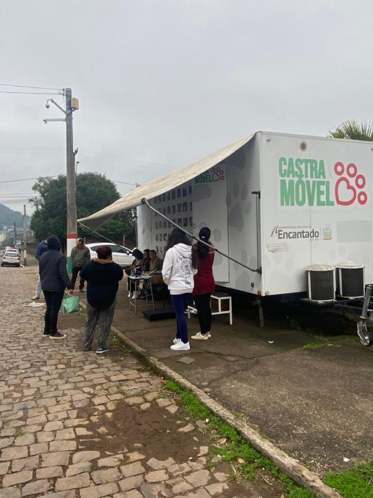 Castração animais Encantado (2)