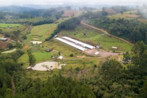 Dia do Colono – Sicredi (1)