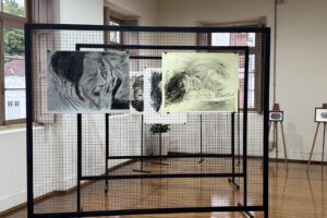 Exposição Casa de Cultura Lajeado