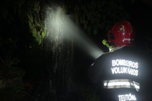 IMG-20260710-WA0011