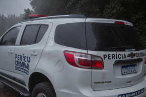 Pericia chuva