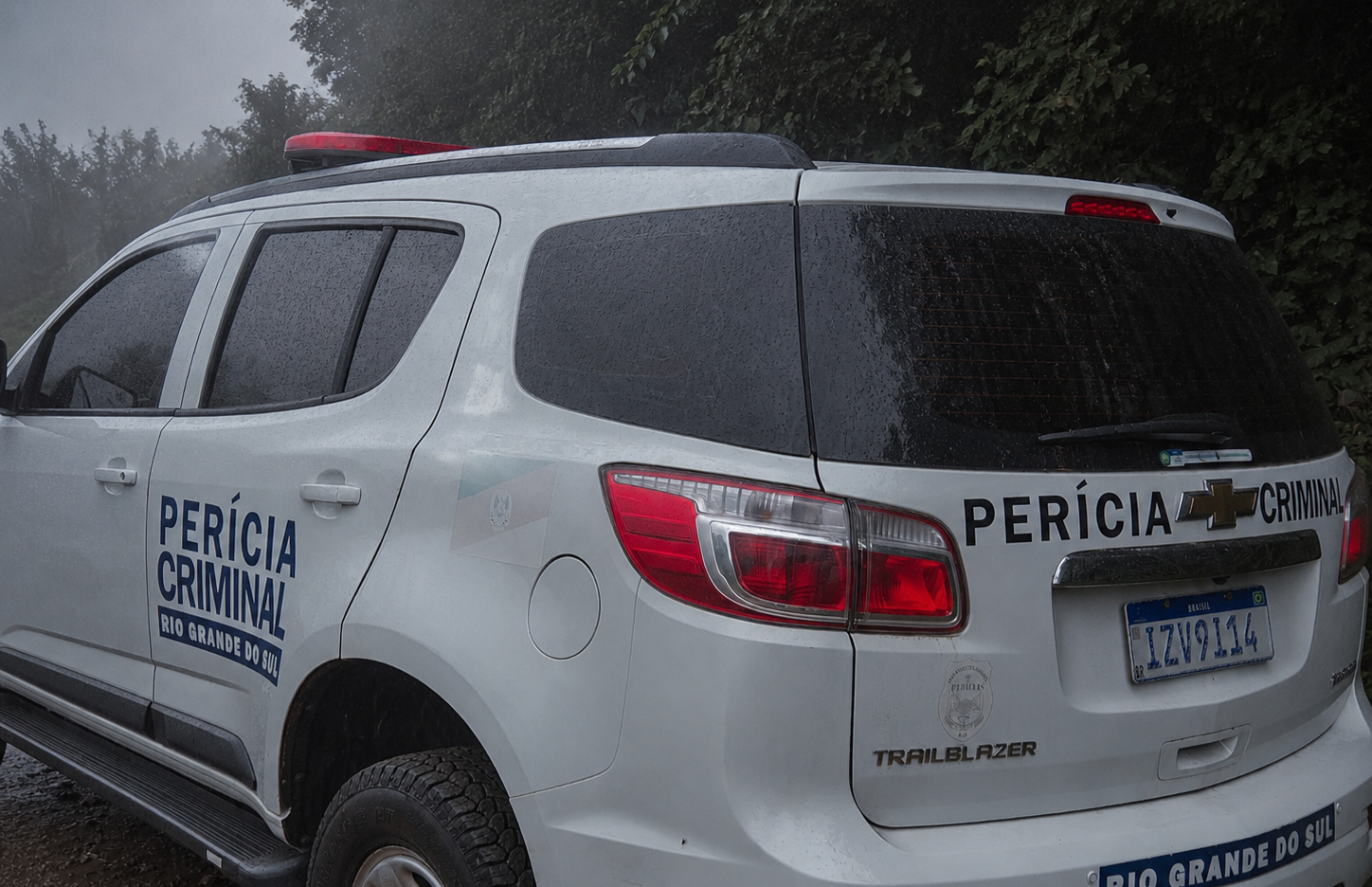 Pericia chuva
