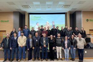 Sicredi 467951_1211129_plano_safra_grupo_web_