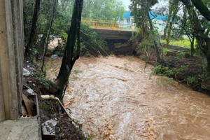 Vila Maria ponte enchente interditada