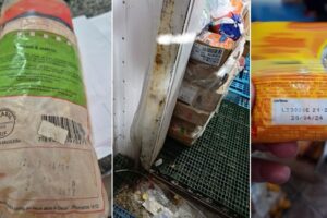 aLimentos impróprios estragados MPRS