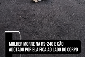 cão morte dona