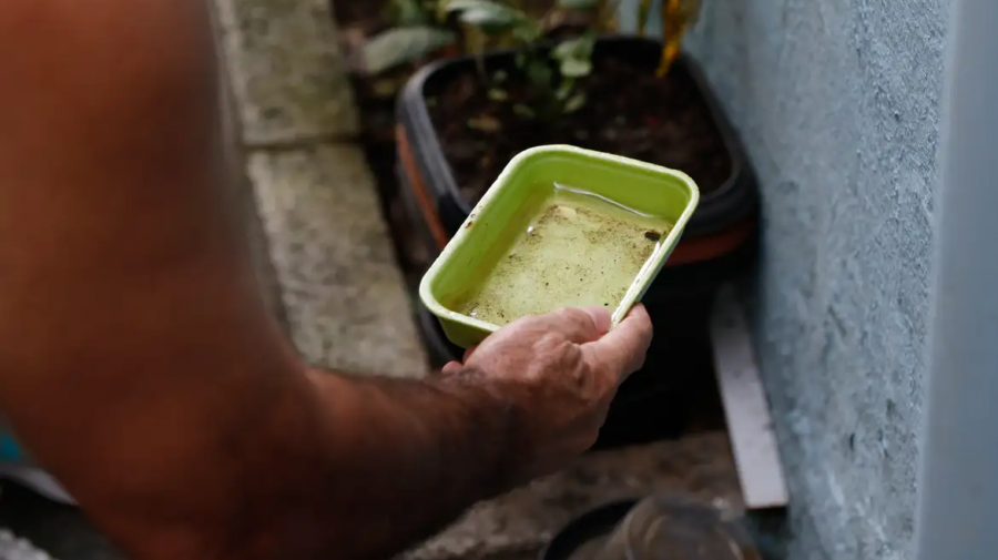 dengue água parada