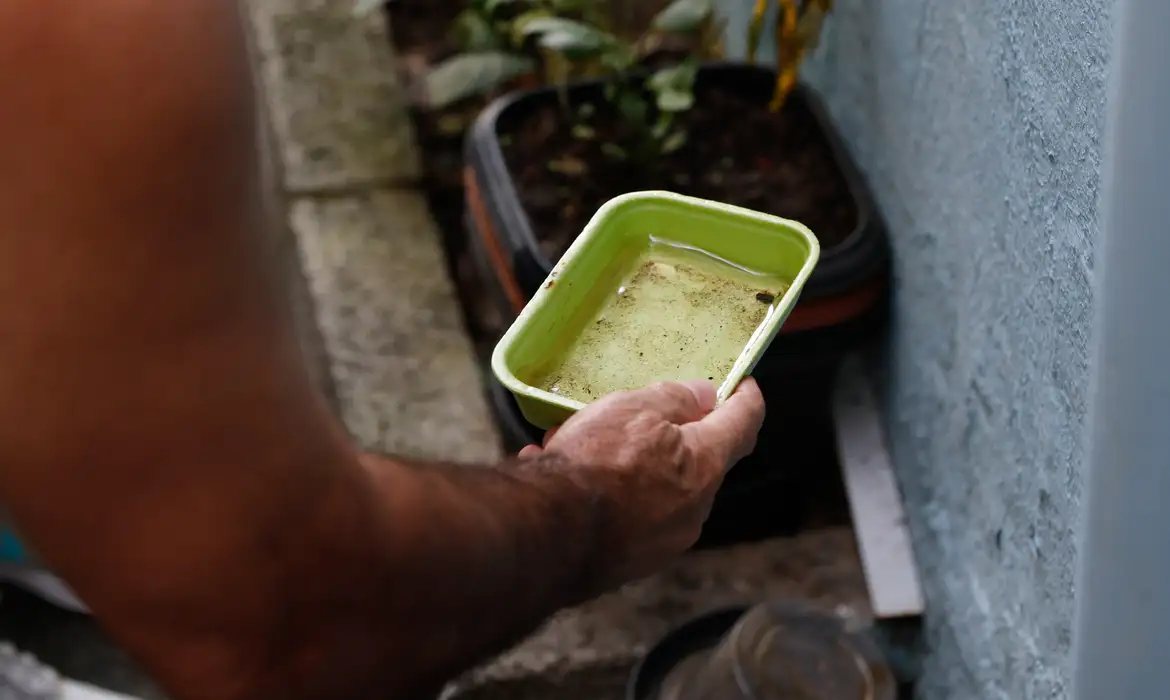 dengue água parada