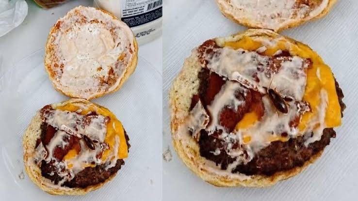 hamburgee ia golpe