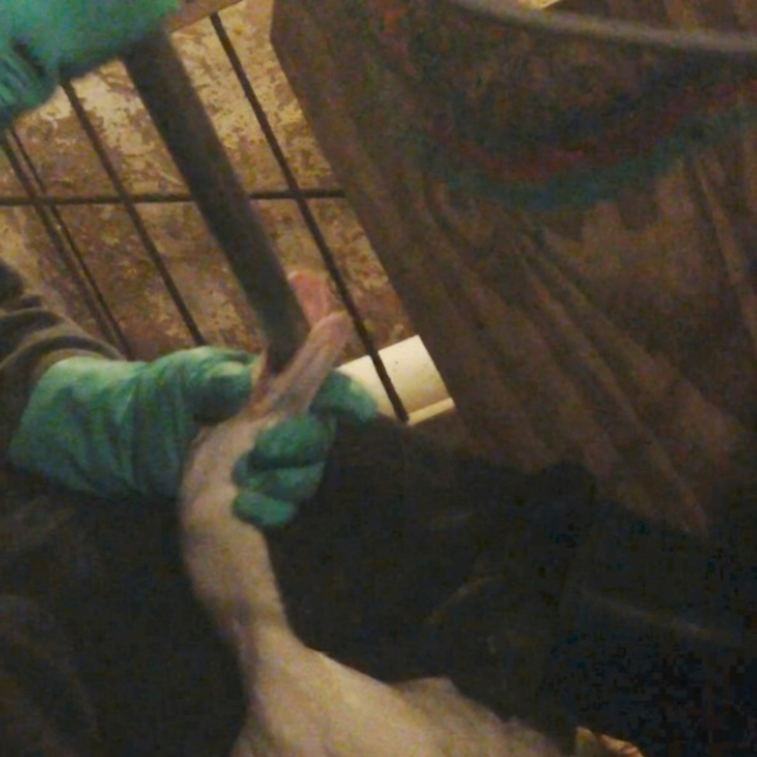 hvfgphotoforce-feeding3